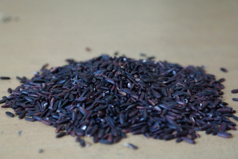 Black Rice and Barley